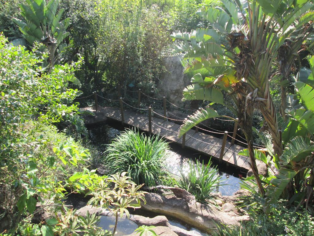 Joern'S Gaestehaus Mbombela Oda fotoğraf